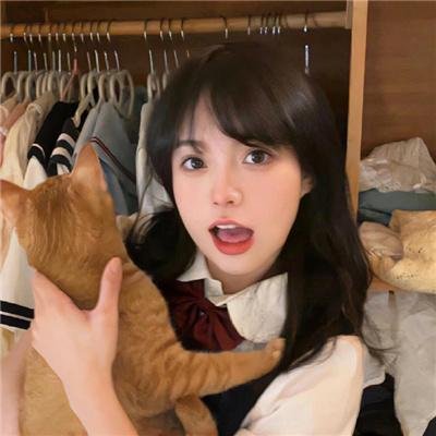 怪猫菲力兹